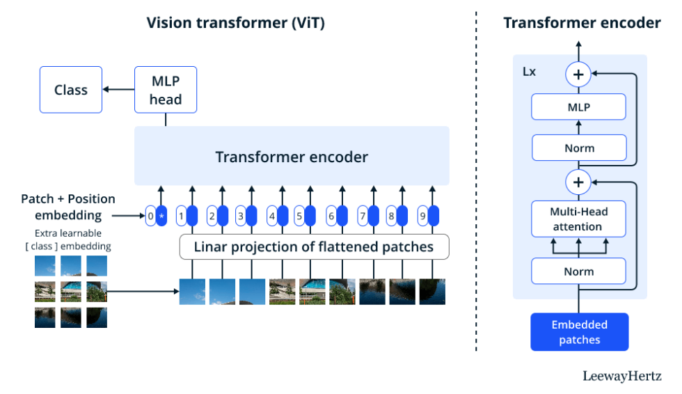 How is a Vision Transformer (ViT) model built and implemented?