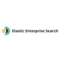 Elastic Enterprise Search